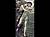 Burne-Jones Edward Coley - Phyllis et Demophon.jpg Burne-Jones Edward Coley - Phyllis et Demophon.jpg